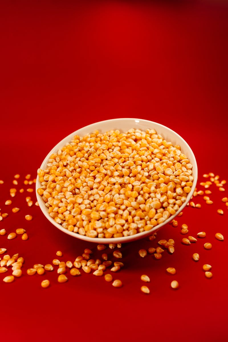 Close-up of uncooked popcorn kernels in a bowl on a vibrant red background, offering abundant copy space.